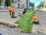 Kraków. Na Alei Róż jak na boisku piłkarskim. Rozwijają rolki soczyście zielonej trawy