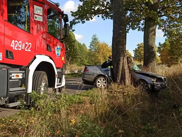BMW uderzyło w drzewo. Ranne zostały: 24-letnia kobieta i 2-letnie dziecko
