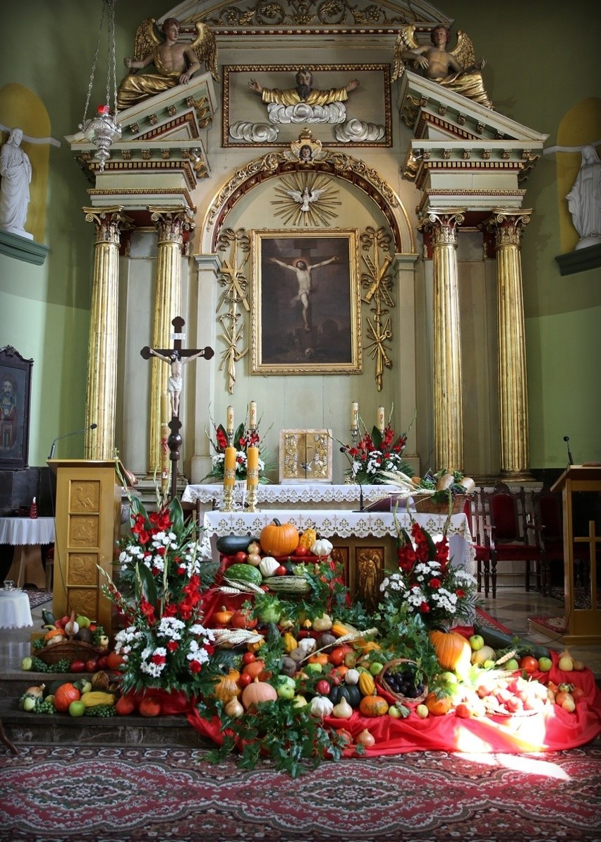 Msza święta dożynkowa w kazimierskim kościele. Ołtarz niemal „utonął” w kwiatach i płodach ziemi. Wyglądał pięknie [ZDJĘCIA] 