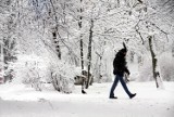 Ostrzeżenie pogodowe dla woj. lubelskiego. Uwaga na intensywne opady śniegu!  
