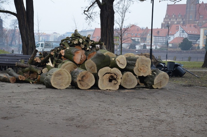 Wycinka drzew przy Bulwarze Dunikowskiego