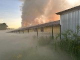 Pożar hali produkcyjnej w Czaplach. Jedna osoba poszkodowana. Ogień gasiło 9 zastępów straży pożarnej z powiatu kartuskiego i Gdańska | FOTO