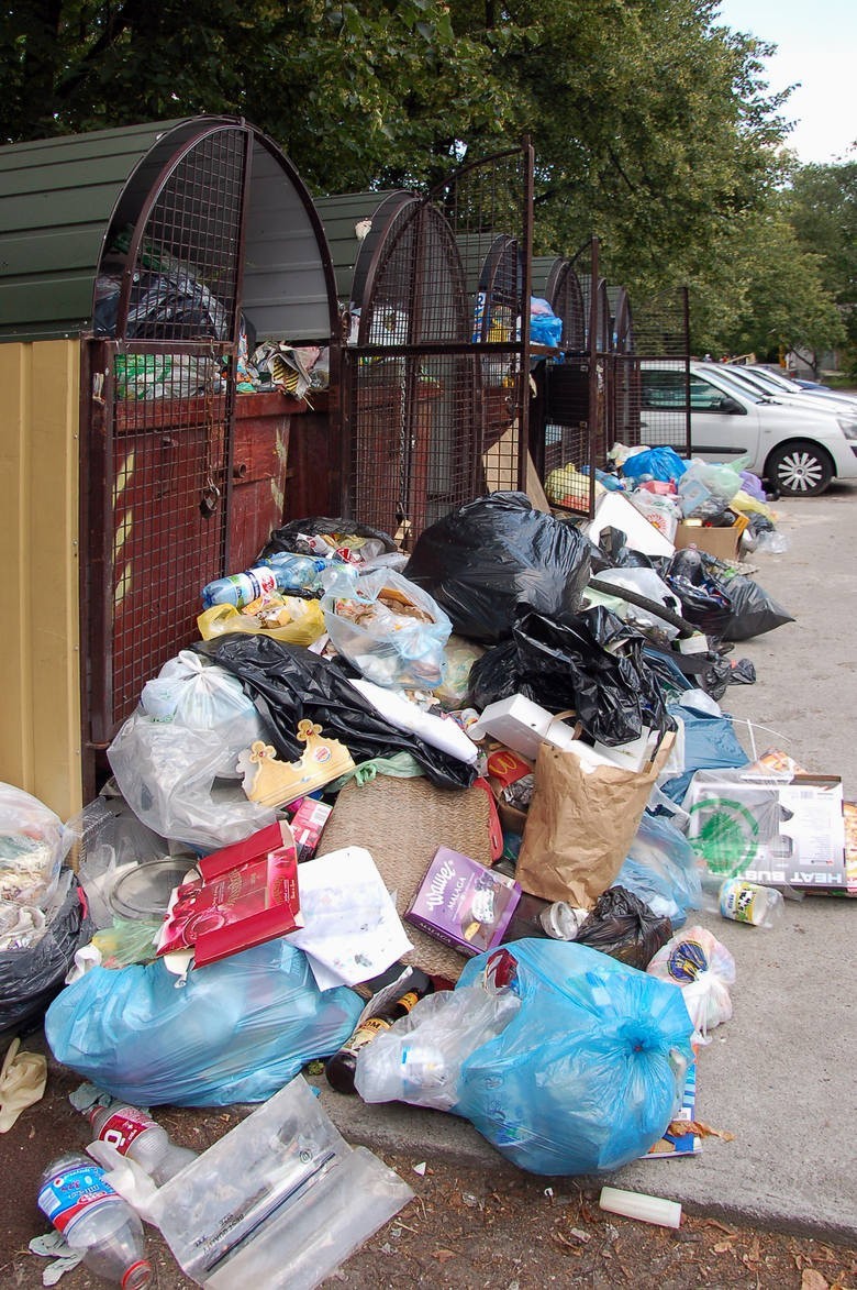 Kraków: mieszkańcy przepłacają za wywóz śmieci