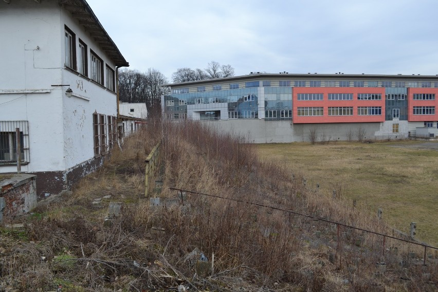 Skra Częstochowa wygrała proces ze Skarbem Państwa. Dostanie kilkanaście milionów złotych?