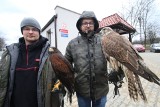 Ogrodu Botanicznego w Kielcach będą bronić drapieżne ptaki