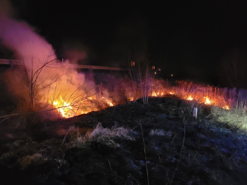 Strażacy z Proszowic i Nowego Brzeska gasili ogień na ulicy...