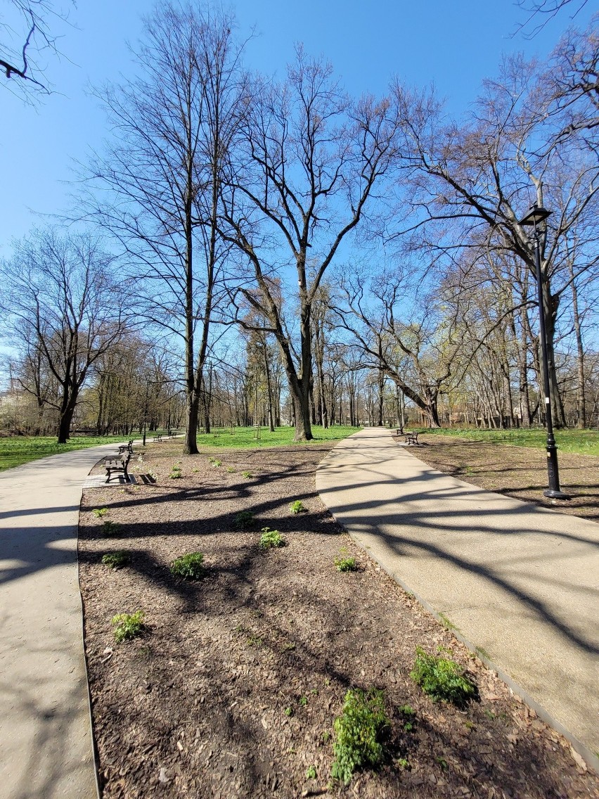 W ostatnich latach Park Jerzmanowskich przeszedł...