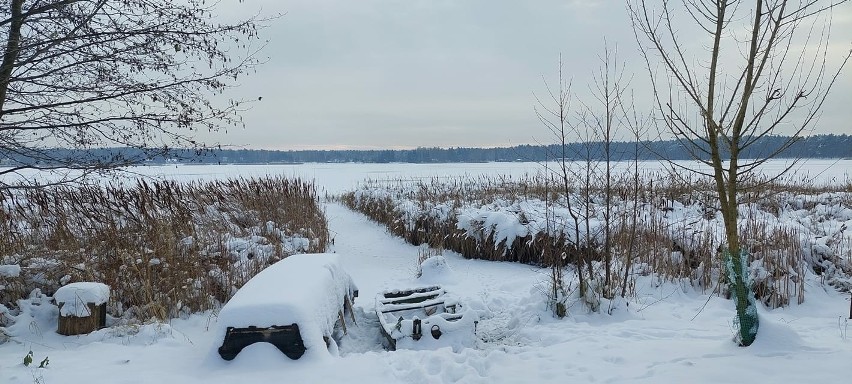 Zima widziana oczami Czytelników Kuriera Lubelskiego. Zobacz zdjęcia 