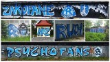 Ruch Chorzów ma kibiców nawet w Zakopanem. Niebieskie Zakopane na Facebooku lubi ponad 5.000 osób! Pod Giewontem są też fani Wisły i Pasów