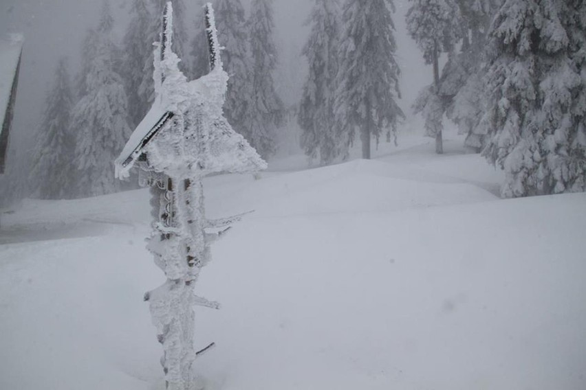 Zima w Beskidach. Schronisko na Rysiance tonie w śniegu