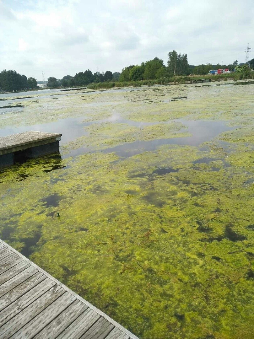 Tak wygląda dostęp do miejscówek wędkarskich po koszeniu...