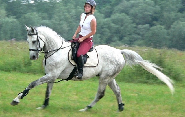 Agnieszka Zinek będzie prezentować podczas championatu konie ze stajni Zdzisława Szczepanka z Pawłowa.