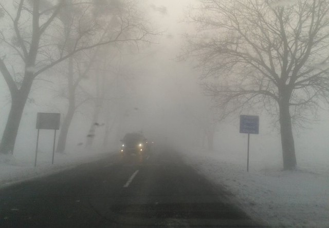 Tak wyglądała dzisiaj rano droga wojewódzka nr 494 w Oleśnie.