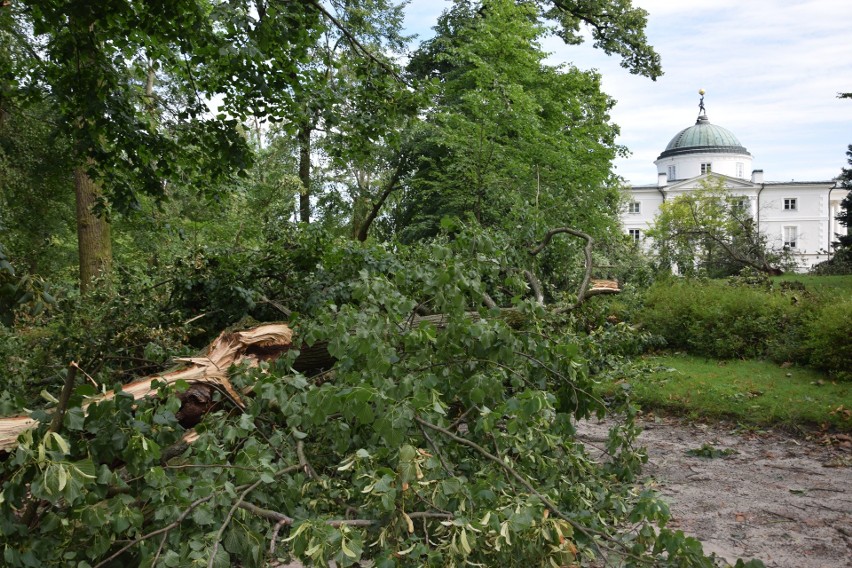 Wichura z 11 sierpnia spustoszyła piękny, zabytkowy park w...