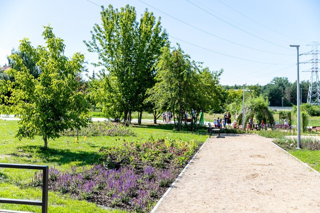 W ramach projektów, których celem jest zwiększenie odporności na zmiany klimatu i klęski żywiołowe będzie możnasfinansować na przykład tworzenie parków kieszonkowych czy wymianę szaty roślinnej na istniejących terenach zielonych