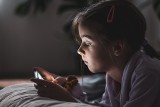 Coraz młodsze dzieci w sieci. Jak zapewnić przedszkolakom bezpieczeństwo w Internecie? Trzeba rozmawiać z dzieckiem - alarmują eksperci