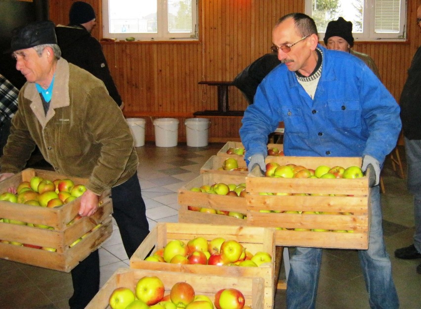 Caritas Gorlice rozdał mieszkańcom 10 ton jabłek
