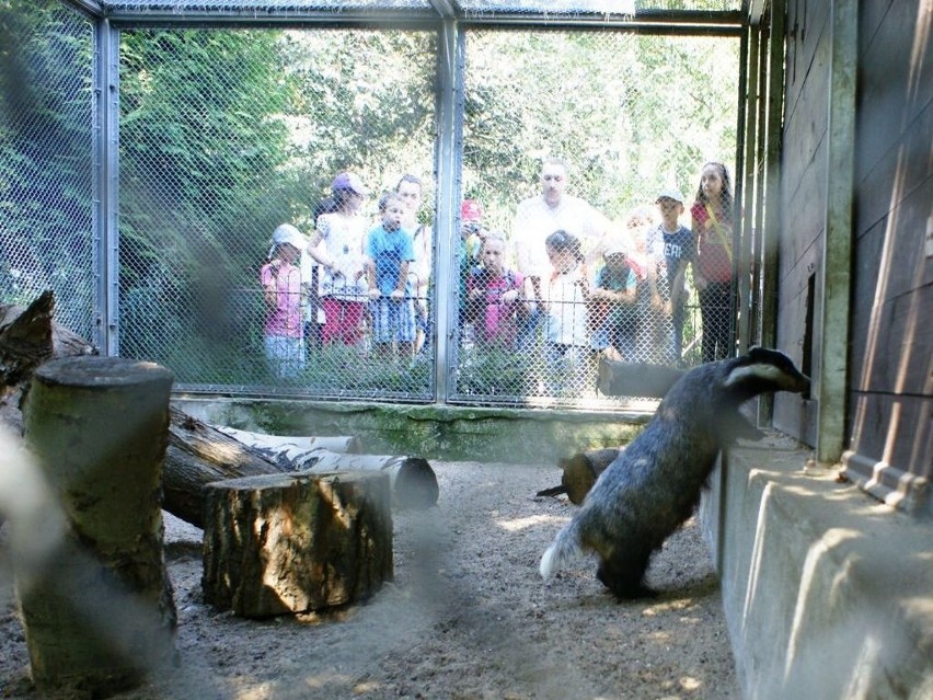 Ogród zoologiczny w Bydgoszczy umilił czas najmłodszym -...