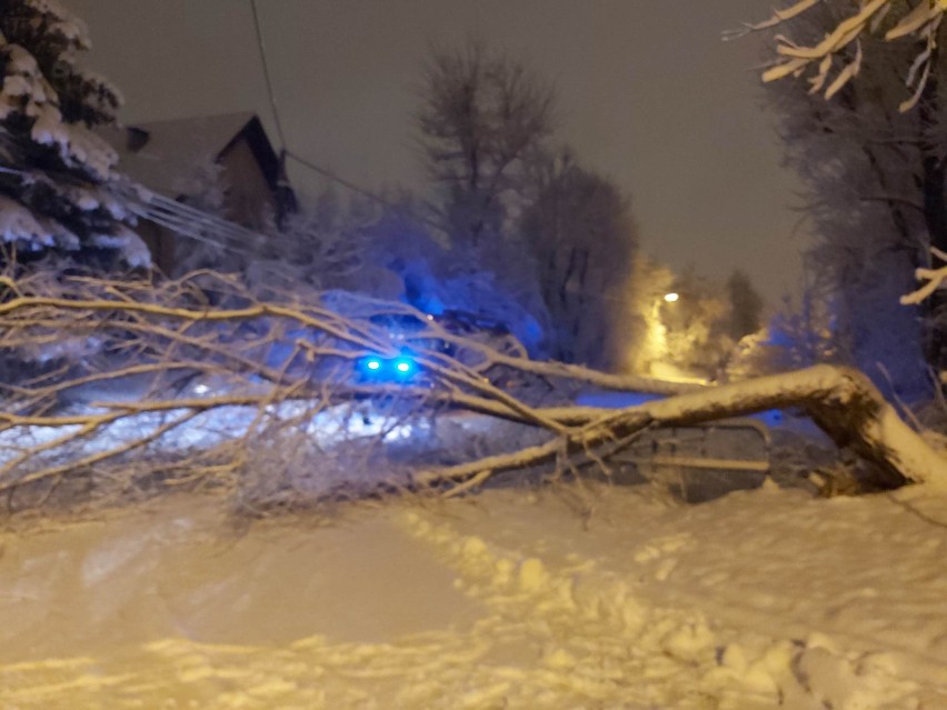 Powalone drzewa i awarie strażacy usuwali nieustająco