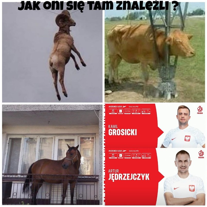 10.11.2022 r. Memy po ogłoszeniu ostatecznej kadry Polski na...