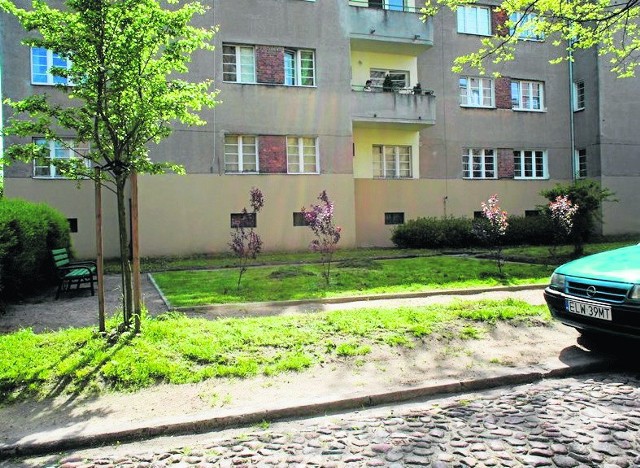 Po 12 brzozach, zasadzonych społecznie przy ulicy Srebrzyńskiej 83, nie ma już śladu. Czy zastąpią je inne drzewa?