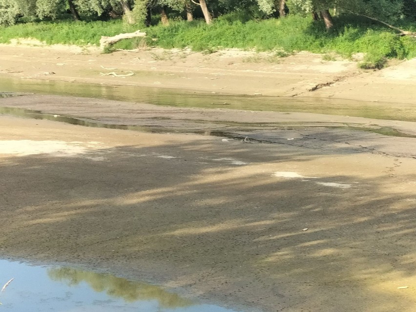 Dramatycznie spadł poziom wody w Sanie w Bieszczadach. Zobacz zdjęcia