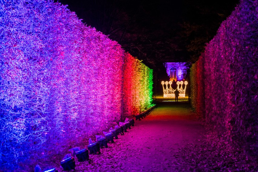 Magia świateł w Śląskim Ogrodzie Zoologicznym. Christmas Garden po raz pierwszy w Polsce