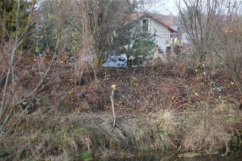 Kazimierz Sadowski pokazuje miejsca nad Przemszą, gdzie...