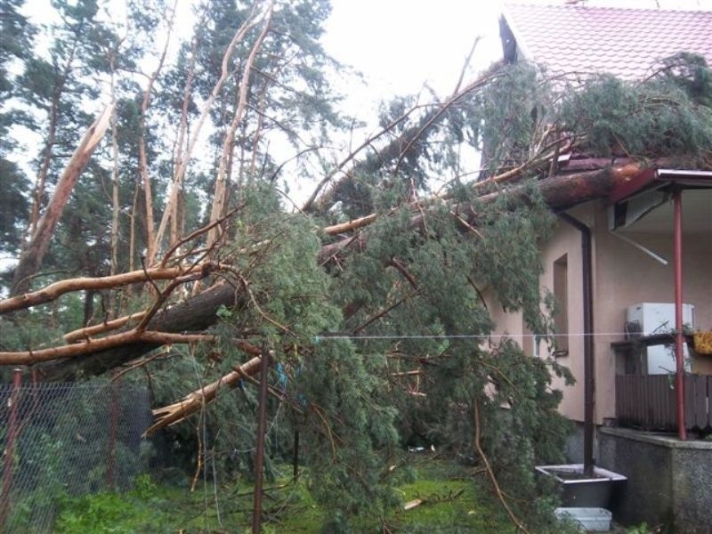 Tornado nad Gulczewem     