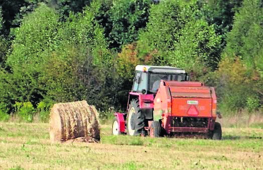 Jesienią warto pomyśleć o ubezpieczeniu upraw