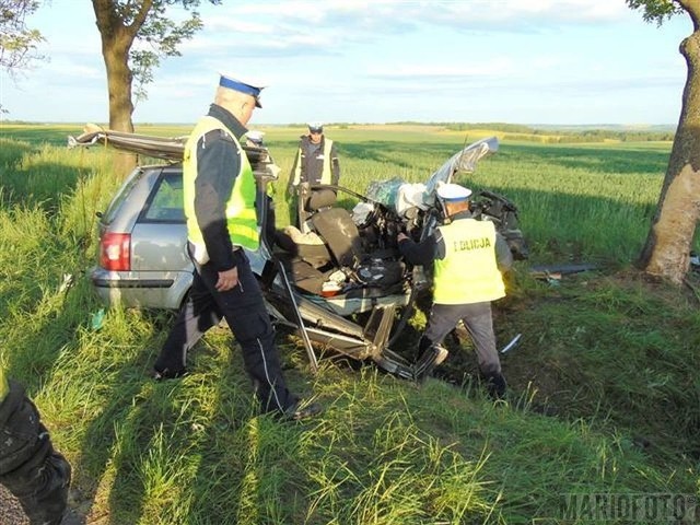 Z nieustalonych jeszcze przyczyn auto wpadło do rowu.