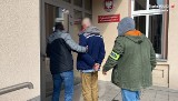 Nielegalna plantacja konopi indyjskich w centrum Tarnowskich Gór. Policja zabezpieczyła 14 krzewów