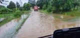 Fatalne skutki ulew w powiecie jędrzejowskim. Wiele posesji zostało zalanych. Strażacy w akcji [ZDJĘCIA]