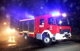 Nocna akcja pięciu straży pożarnych przy granicy polsko słowackiej. Chwytali uciekającą krowę
