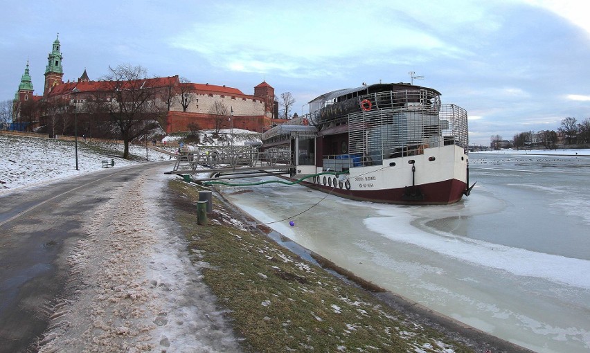 Łabędzie opanowały Kraków [ZDJĘCIA, WIDEO]