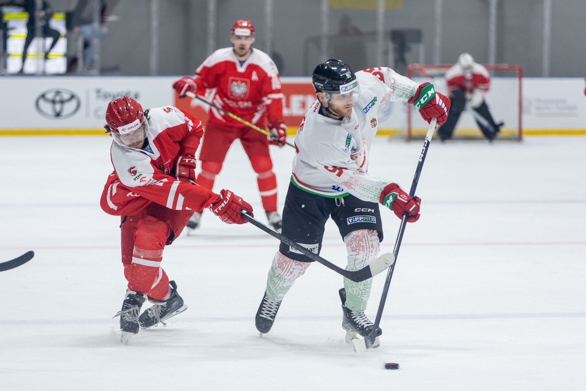 Polska - Rumunia 6:2. Mistrzostwa Świata Dywizji IA w hokeju na lodzie