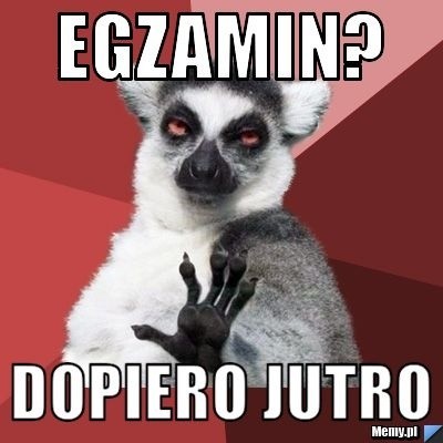 Egzamin ósmoklasisty 2019 MEMY. Zobacz śmieszne obrazki, a...