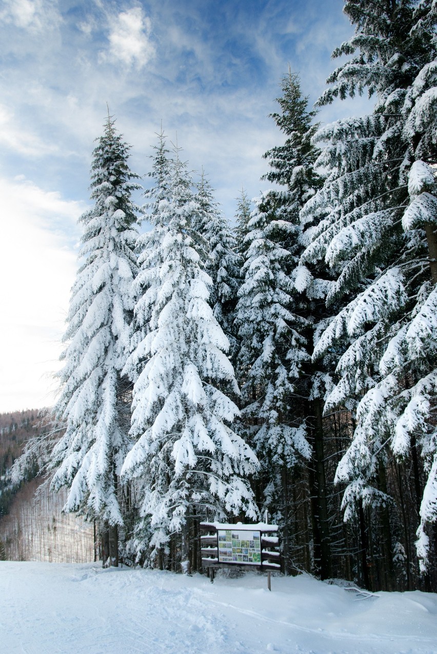 Nie taki znowu mały Beskid                            