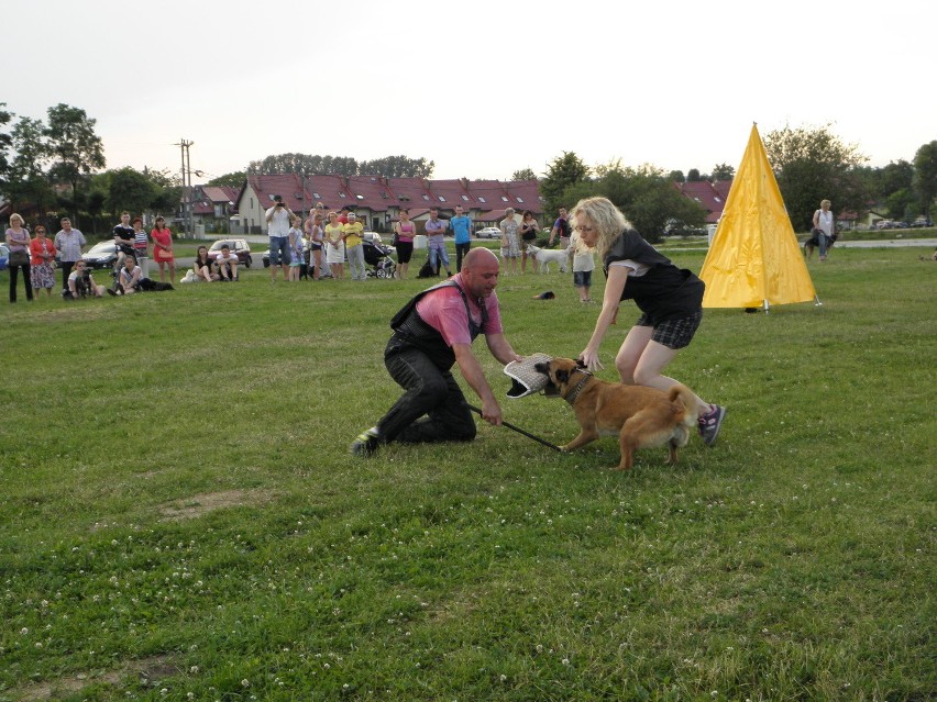 Piknik Pod Psem w Żorach w Cegielni