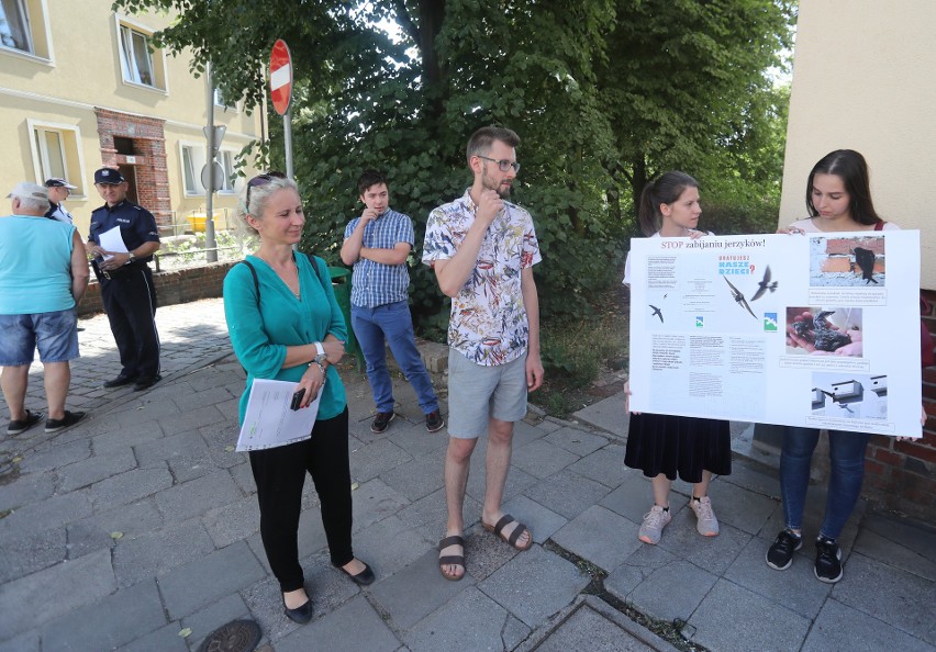 Protest ekologów na Niebuszewie. Bronią jerzyków [ZDJĘCIA]