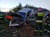 Wypadek pod Wieluniem. 52-latka zasnęła za kierownicą. Uderzyła w drzewo [ZDJĘCIA]