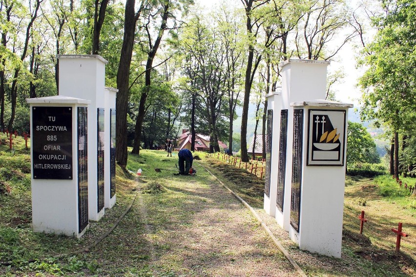 Nowy Wiśnicz. Więźniowie sprzątali cmentarz, na którym pochowano 885 ofiar hitlerowskiego terroru