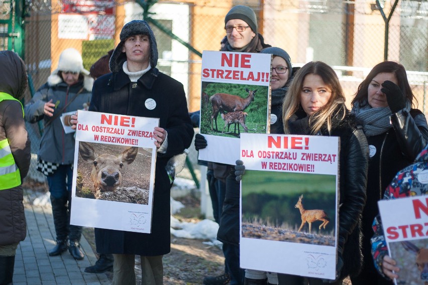 Nie chcą odstrzału zwierząt. Protest ekologów w Redzikowie