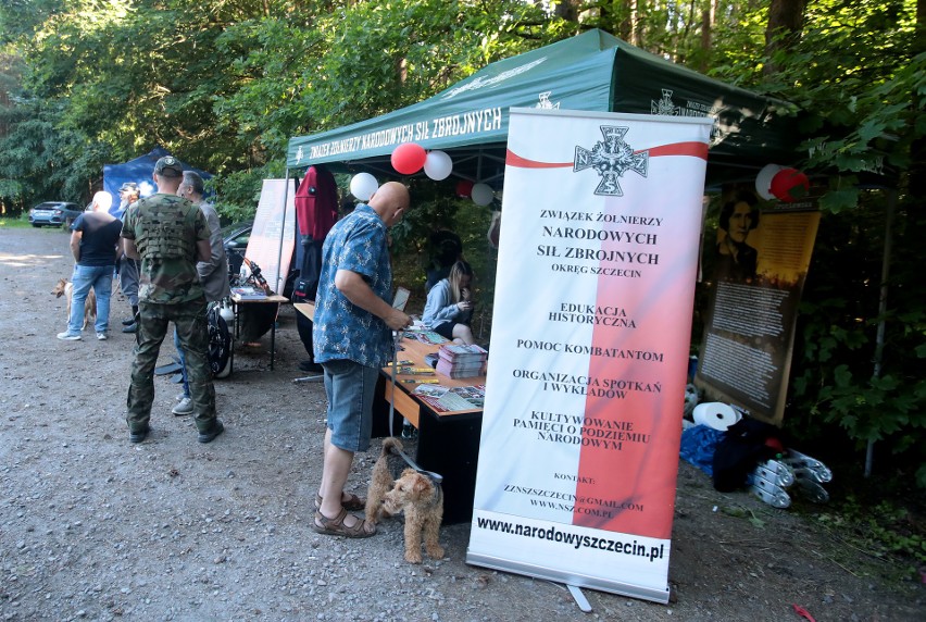 Zabytkowe pojazdy wojskowe podczas pikniku na polanie...