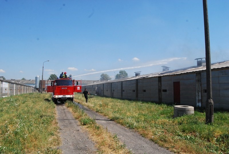 Pożar hali w Redle