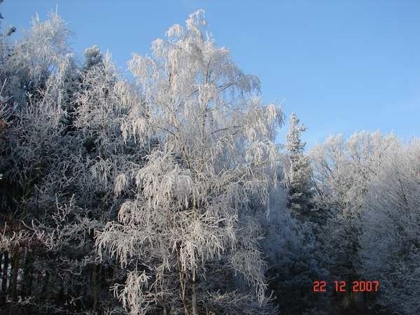 Pierwszy dzien zimy w powiecie zarskim.
