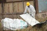 15 tys. ton trującego azbestu usunięto w powiecie poznańskim. Starosta: chcemy więcej!