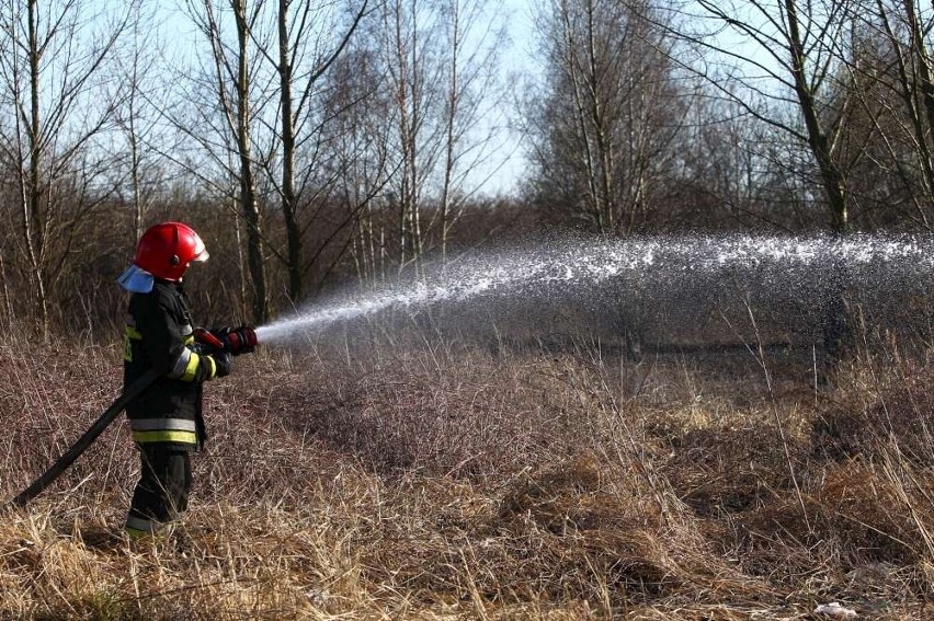 Pożar traw na Ratajach. Ogień gasiły dwa zastępy strażaków