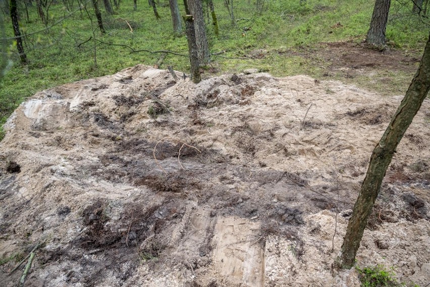 Poszukiwania szczątków obiektu pod koniec kwietnia w lesie w...