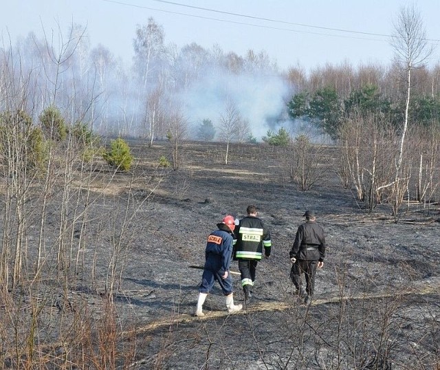 Wystarczyła jedna zapałka i wielki pożar gotowy. W Rudnikach spłonął hektar sosnowego lasu i kolejne 4 hektary poszycia leśnego.